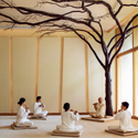 3 Nights at Vana Retreat, Dehradun, India